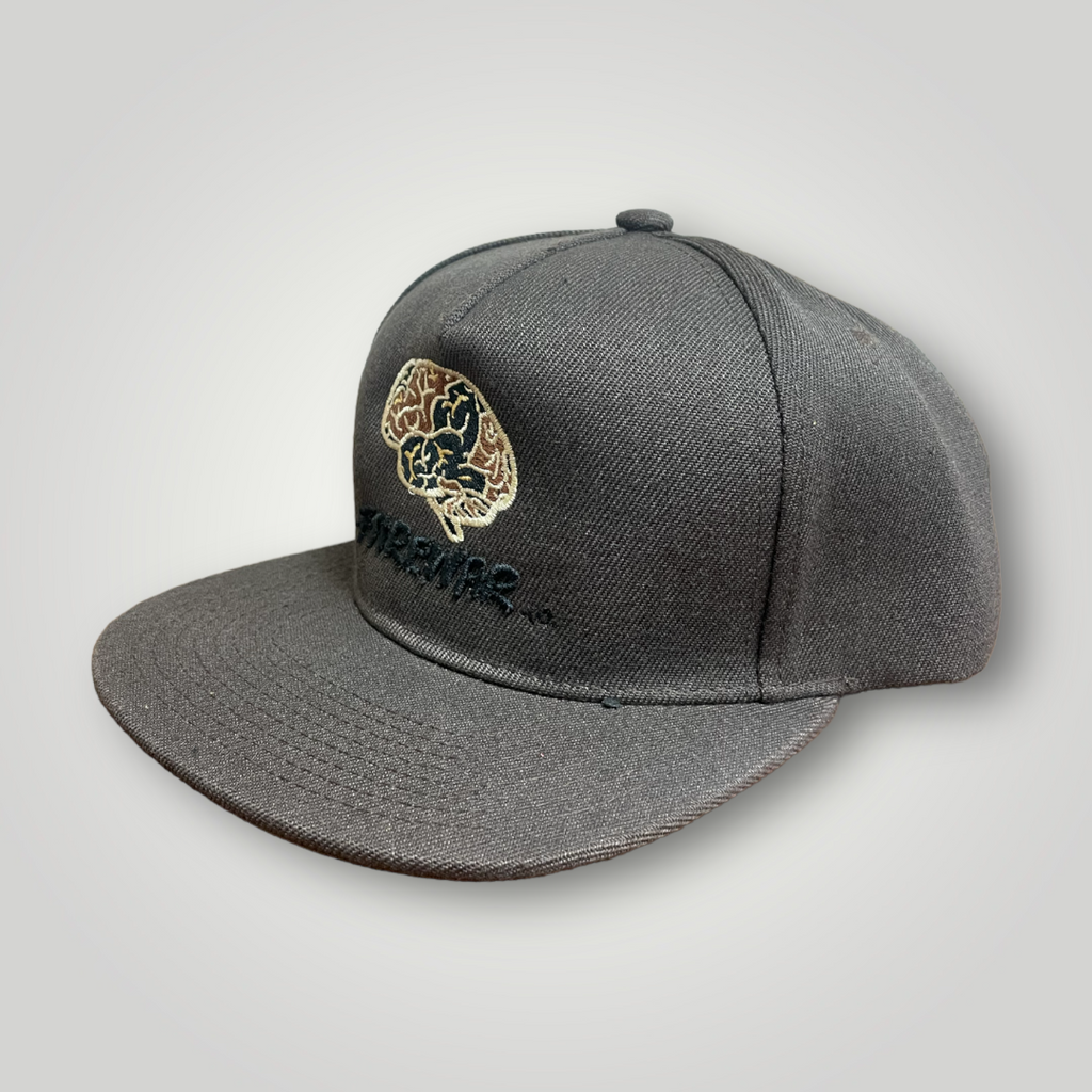 Delivery Driver Brown Logo SnapBack