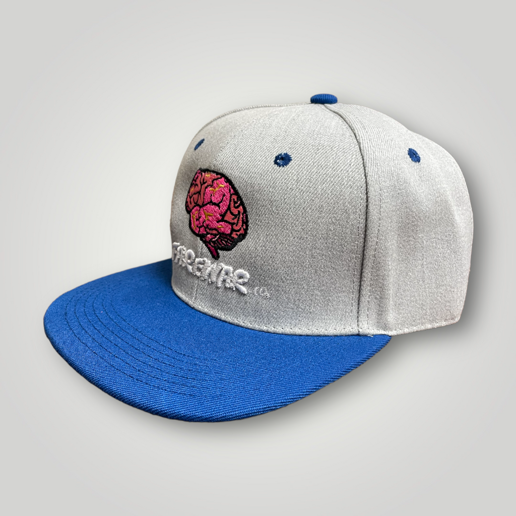 Clouded Sky Grey/Royal Blue Logo SnapBack